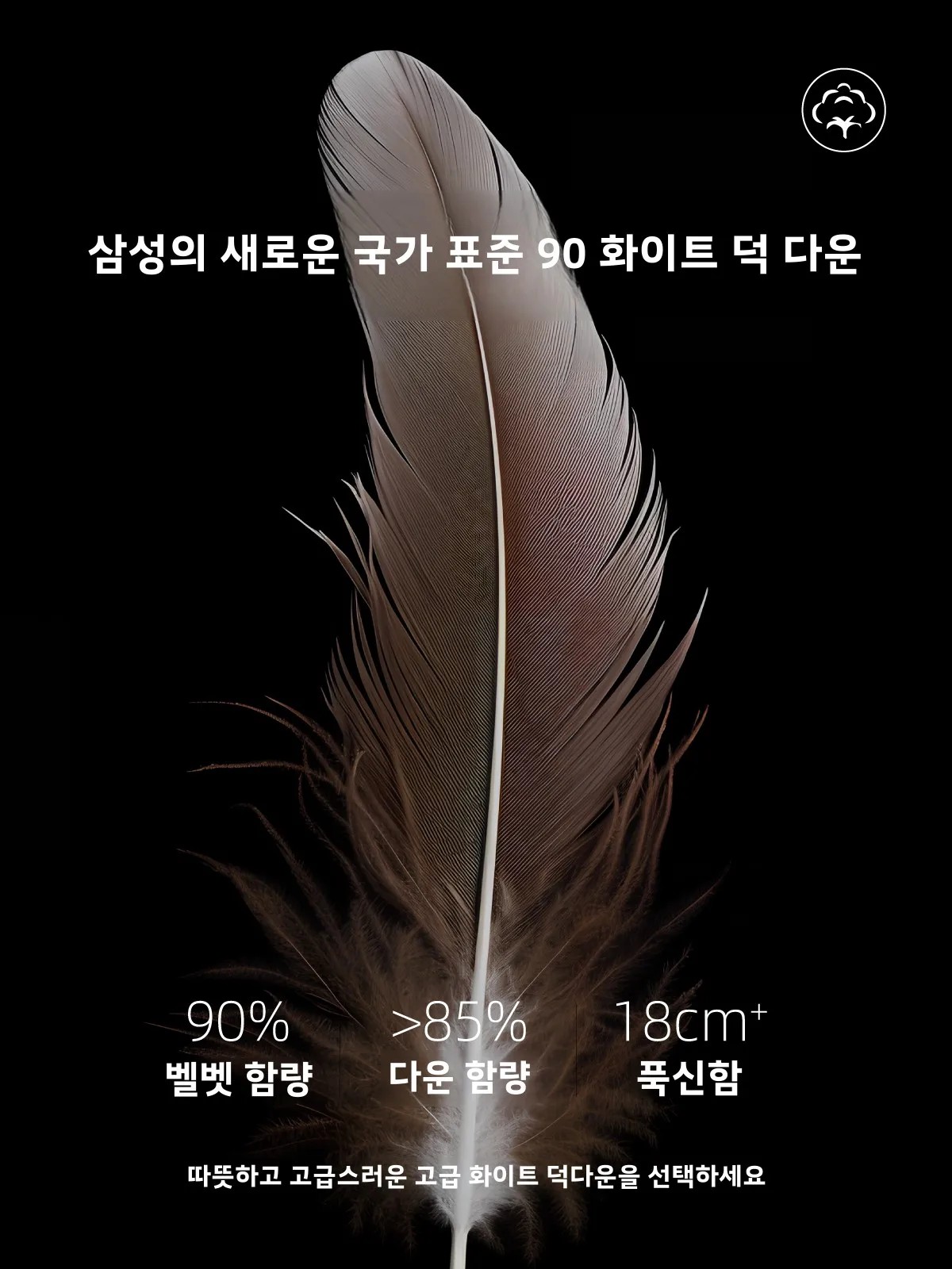  ٿ Ŷ ûҳ ܿ       ٿ Ŷ е  ٿ Ŷ е  ٿ Ŷ